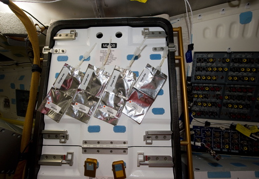 STS133-E-13541