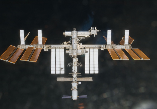 STS133-E-12235