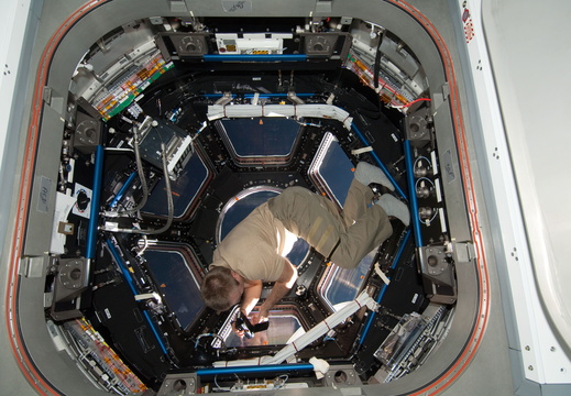 STS130-E-10799