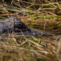 ksc-20190925-ph_geb01_0017_49034197582_o.jpg