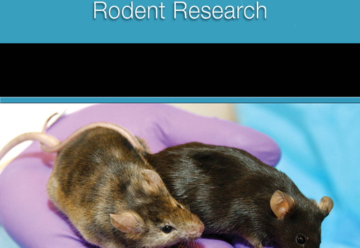 Rodent Research