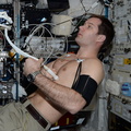 thom_astro_34470450026_Fluid Shifts Experiment.jpg