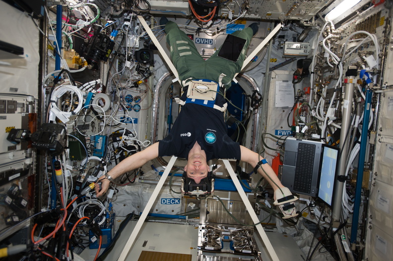 thom_astro_34964125645_Hanging out.jpg