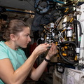 nasa2explore_51765730268_Astronaut_Kayla_Barron_works_inside_the_Advanced_Plant_Habitat.jpg