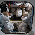 nasa2explore_51224975193_Two_U.S._spacesuits_inside_the_Quest_airlock.jpg