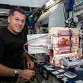 nasa2explore_51208768808_NASA_astronaut_Shane_Kimbrough_works_on_a_space_botany_experiment.jpg