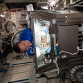 nasa2explore_51188093674_NASA_astronaut_Megan_McArthur_works_on_the_Celestial_Immunity_study.jpg