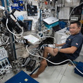 nasa2explore_51207854367_Astronaut_Akihiko_Hoshide_scans_his_leg_with_an_ultrasound_device.jpg