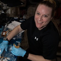 nasa2explore_50978981373_Astronaut_Kate_Rubins_collects_tubes_containing_microbe_samples.jpg