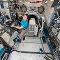 astronaut-anne-mcclain-works-inside-the-kibo-laboratory-module_32152457117_o.jpg