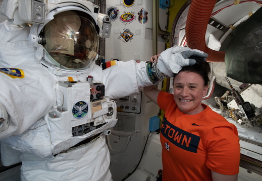 ISS056-E-174105